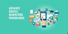 Digital Marketing Courses in Bangalore 