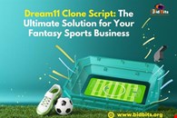 Launch Your Fantasy Sports Platform with Dream11 Clone Script!