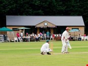 Durable Timber Pavilion Kits - UK’s No.1 Manufacturer!