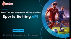 Discover How Cricket APIs Transform Fantasy & Betting Platforms